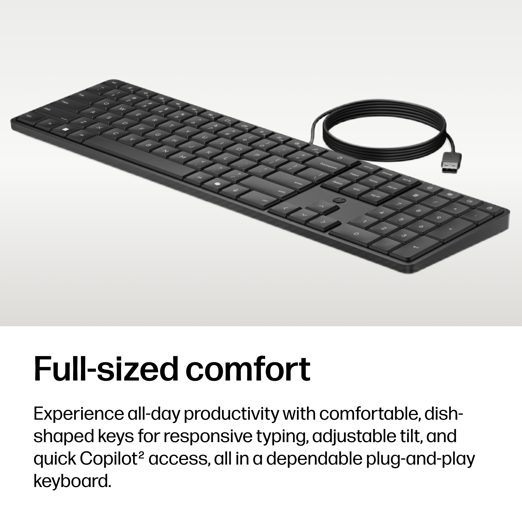 HP 170K Wired Keyboard – image 8