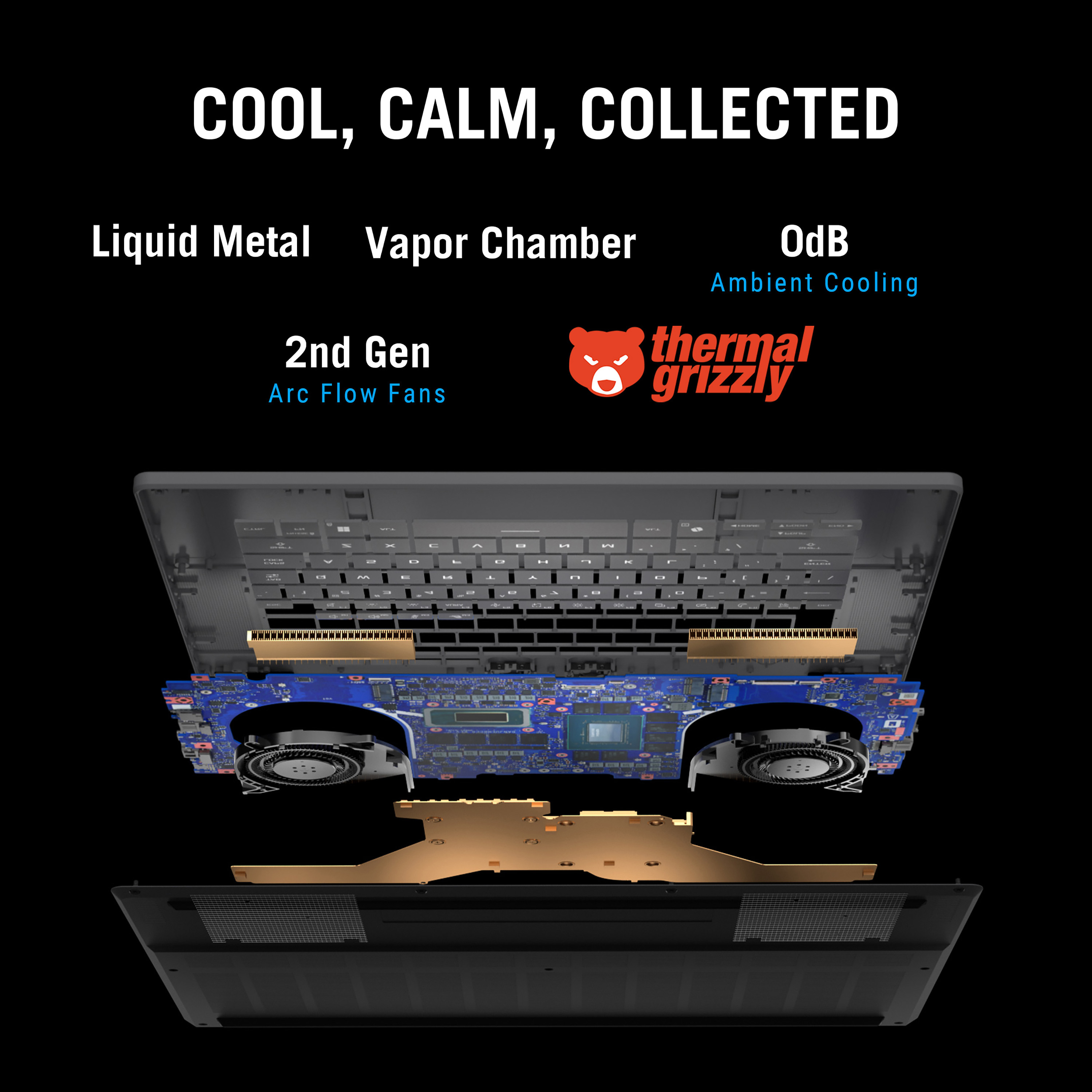Product Gallery