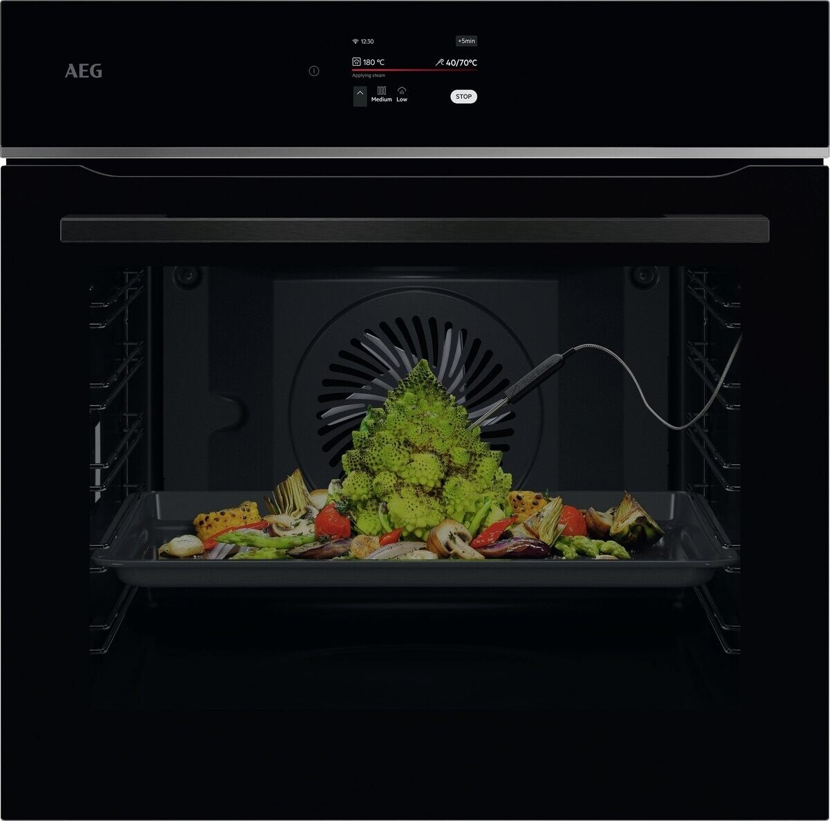 AEG TE8PB731AB — vue 1 sur 8
