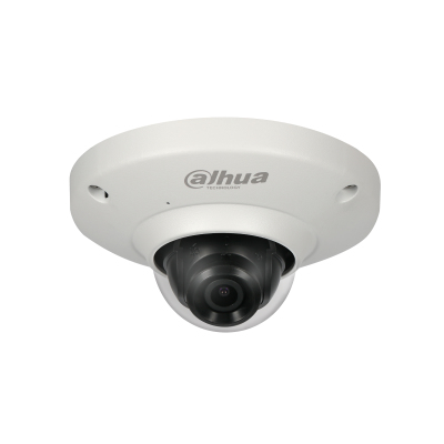 Dahua Technology Pro IPCEB5531 security camera Dome IP security camera Indoor & outdoor