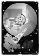 Seagate DB35 7200.3 750GB SATA 3Gb/s