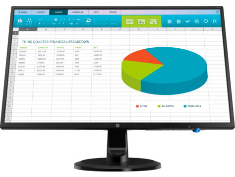 HP N246v computer monitor