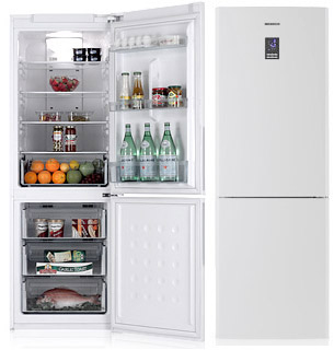 Samsung RL40HDSW fridge-freezer Freestanding