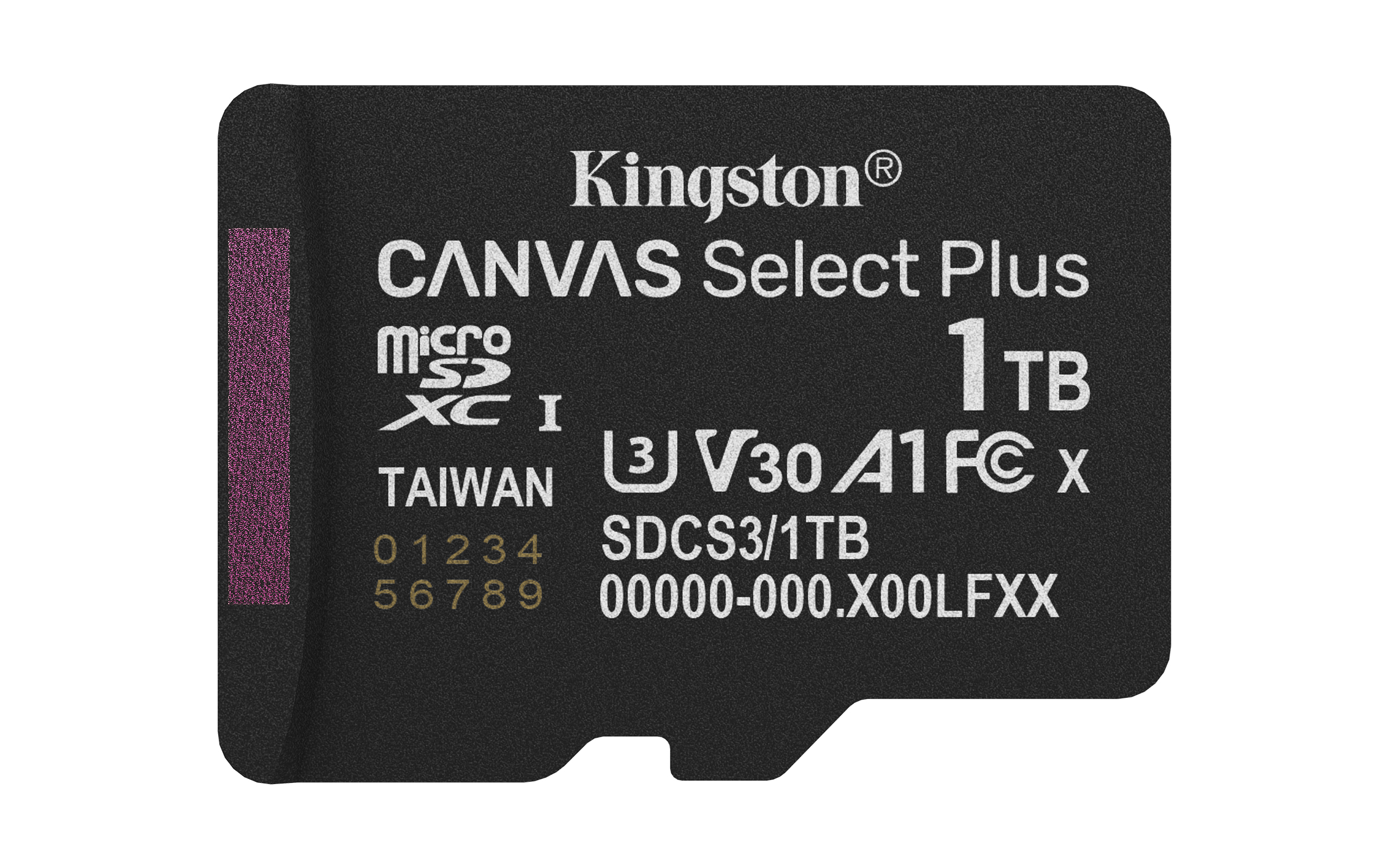 Kingston Technology 1TB micSDXC Canvas Select Plus Gen3 150R A1 (Adattatore SD non incluso)
