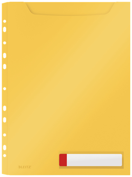 Leitz 46680019 protector de hojas 210 x 297 mm (A4) Polipropileno (PP)