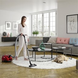 Electrolux ZSPPARKETT 3.5 L Cylinder vacuum 700 W Dust bag – image 2