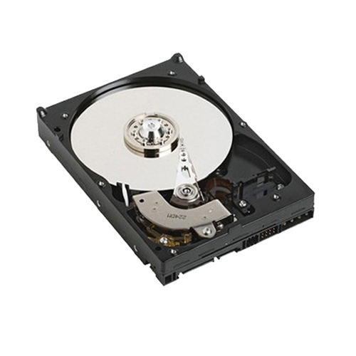 Dell 1TB NL-SAS