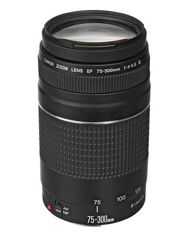 Canon Rebel SL1 + EF-S 18-55mm + EF 75-300mm f/4-5.6 III Lens – image 2