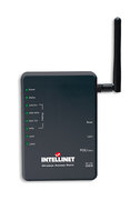 Intellinet High Power Wireless G
