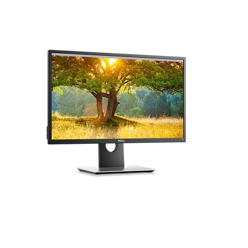 Dell P2417H computer monitor