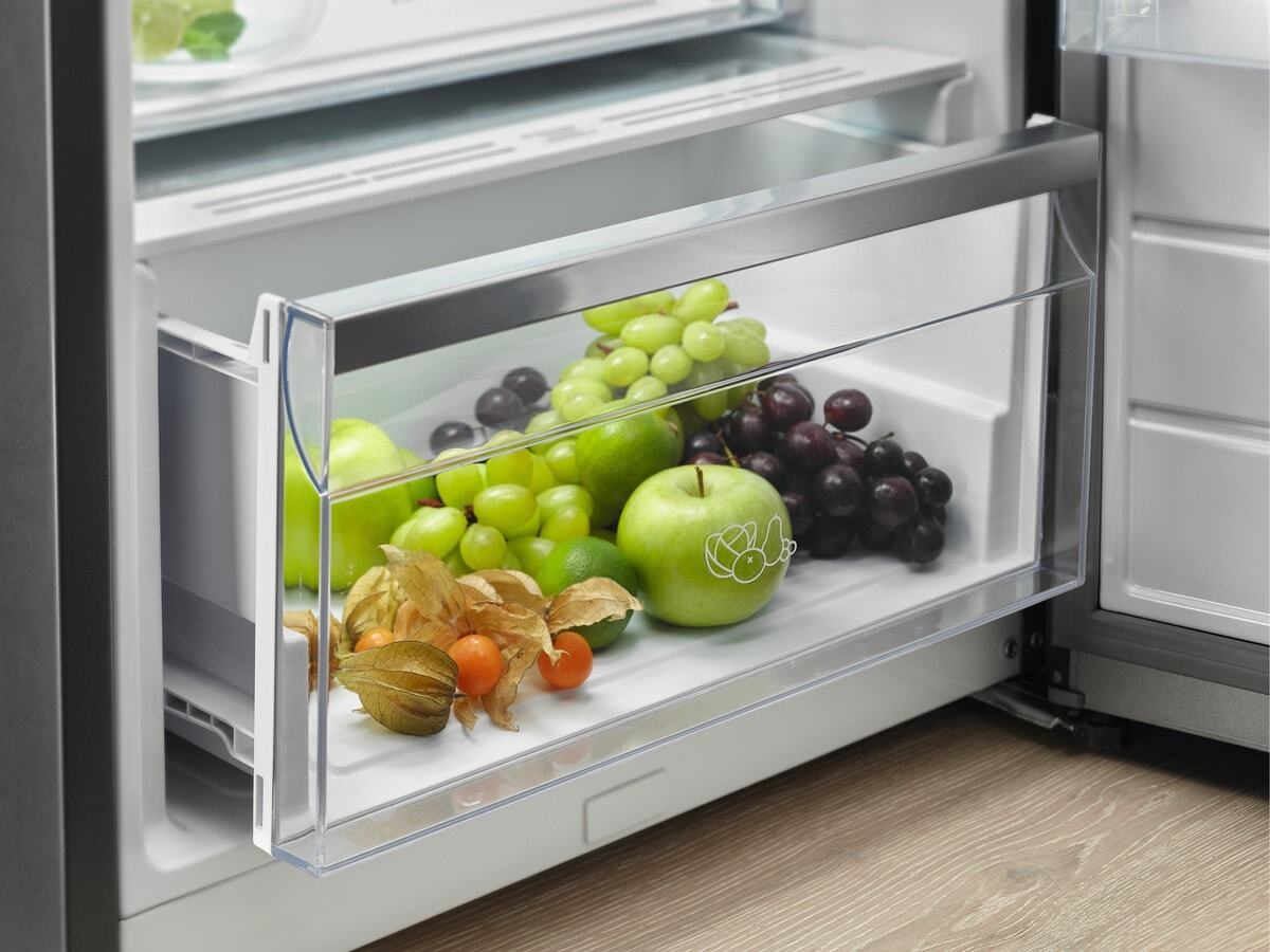 Electrolux LRT5MF38W0 fridge Freestanding – image 4