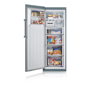 Samsung RZ60FHTS freezer Upright freezer Freestanding – image 2