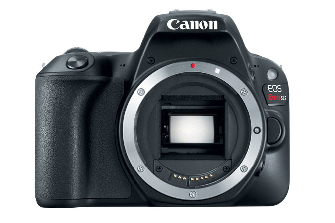 Canon Rebel SL2 – image 1