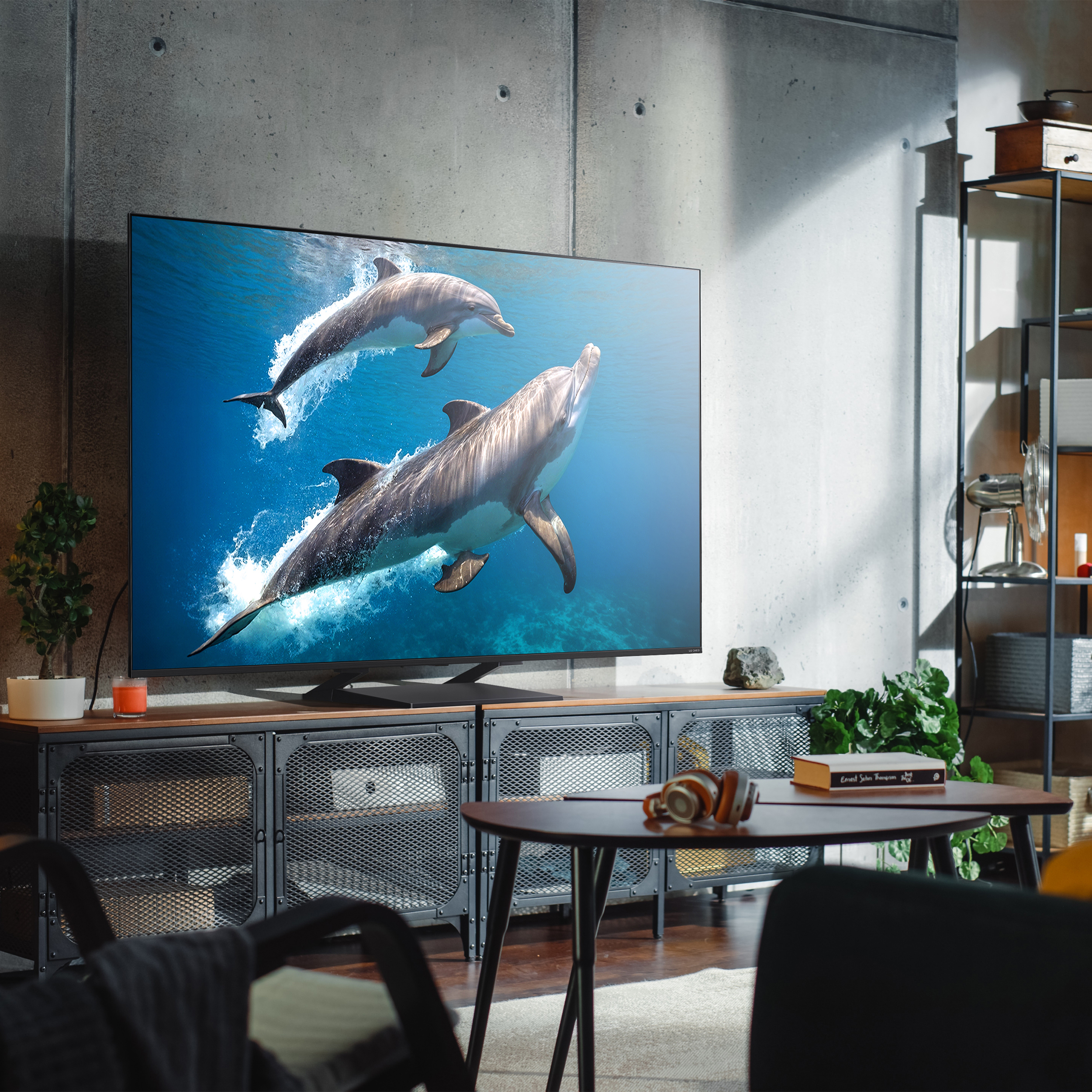 Lg 65QNED93A 65 pouces — photo 12