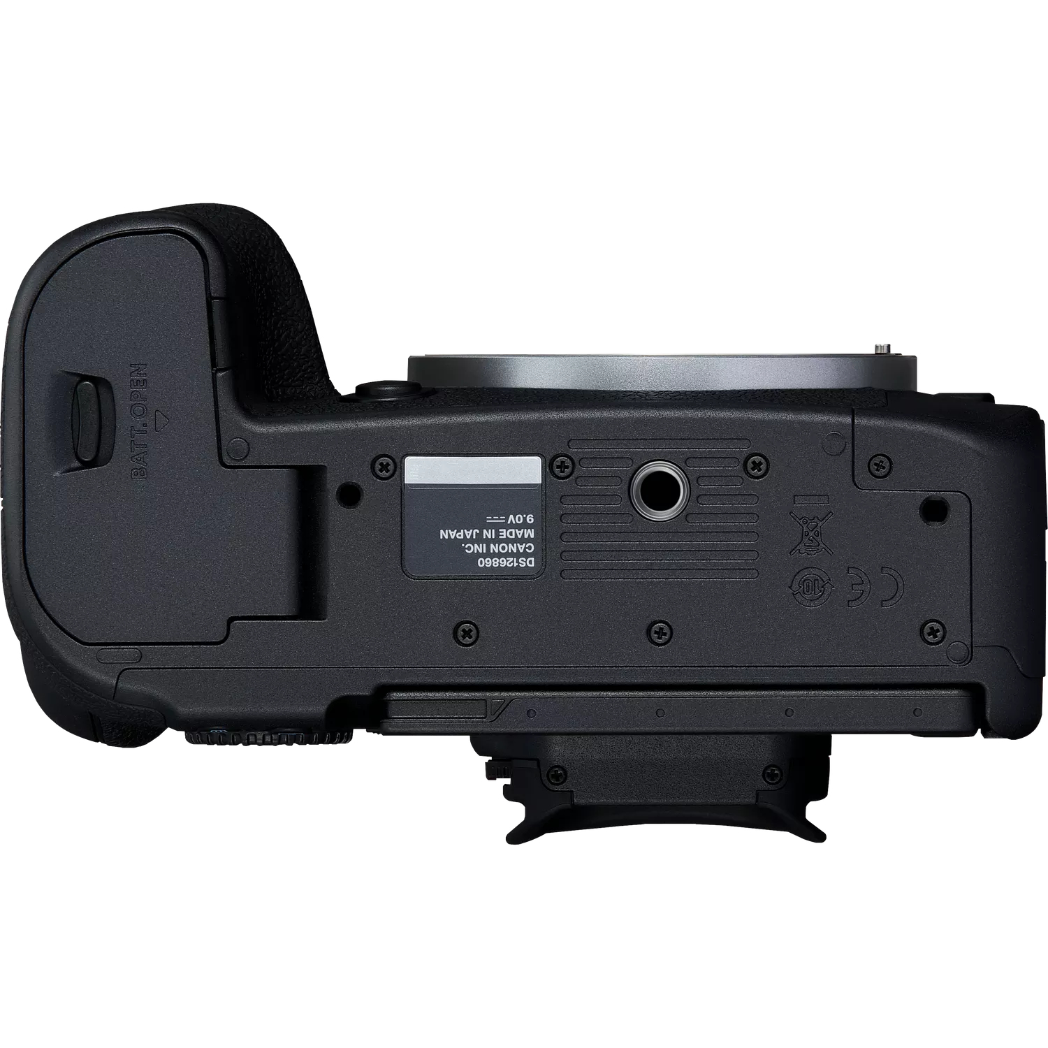 Canon EOS R6 Mark II + RF 24-105mm F4-7.1 IS STM – image 5