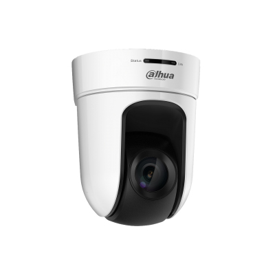 Dahua Technology SD56230V-HNI security camera Dome IP security camera