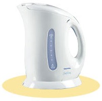 Tefal Delfina Kettle