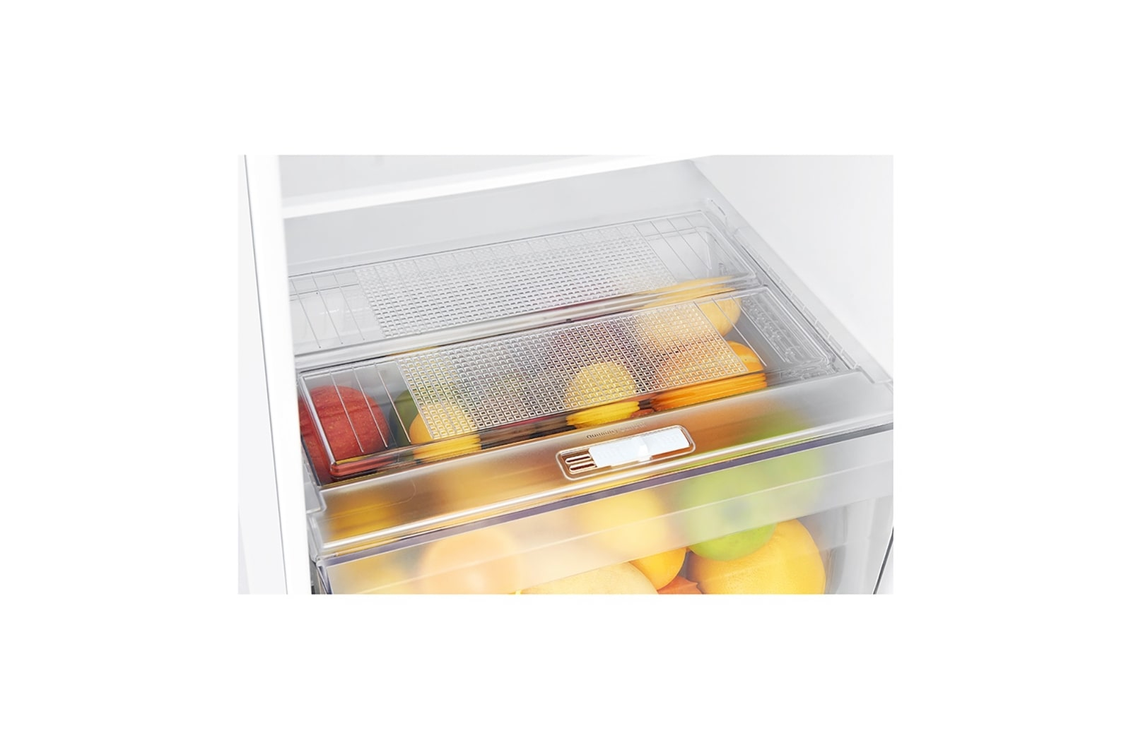 LG GT5525LWH fridge-freezer Freestanding – image 7