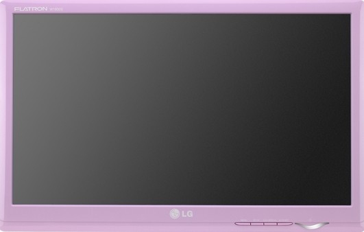 LG W1930S-TF computer monitor