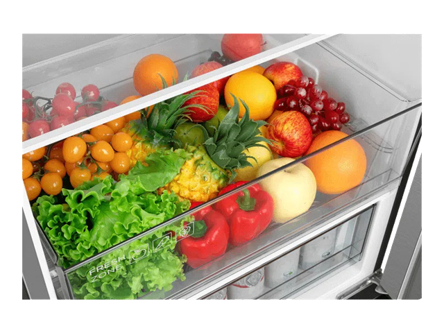 TCL RP456BIE0EU fridge-freezer Freestanding – image 7