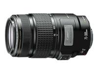 Canon EF 75-300 I.S. USM