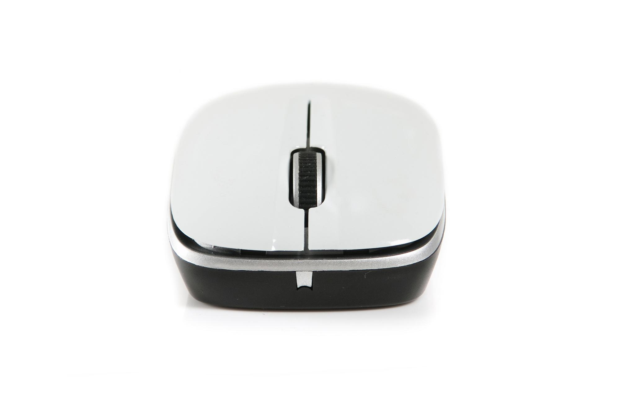 NGS White Spice – image 5