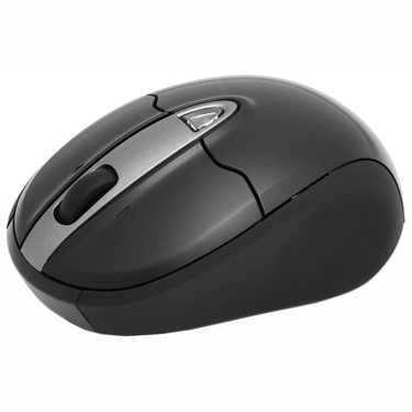 Dell 570-11065 mouse RF Wireless Optical 1600 DPI – image 1
