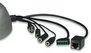 Intellinet Pro Series Network Dome Camera – image 4