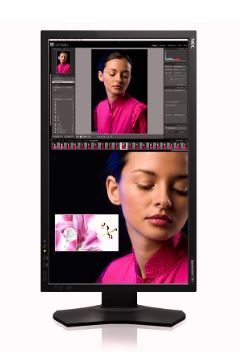 NEC SpectraView 231 computer monitor – image 2
