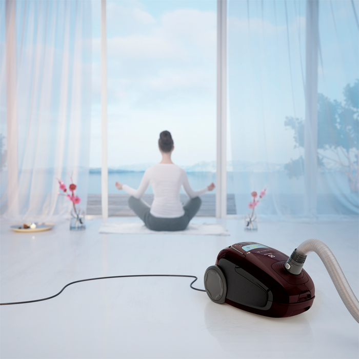 Electrolux EUS85BR vacuum – image 2