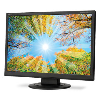 NEC AccuSync AS191WM – image 1