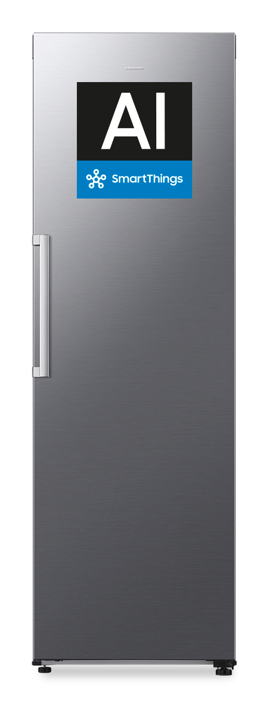 Samsung RR70H39CDTEF fridge Freestanding