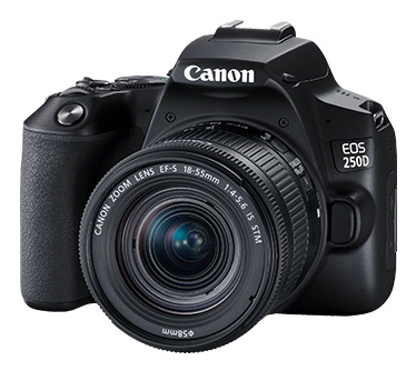 Canon 250D + EF-S 18-55mm – image 5