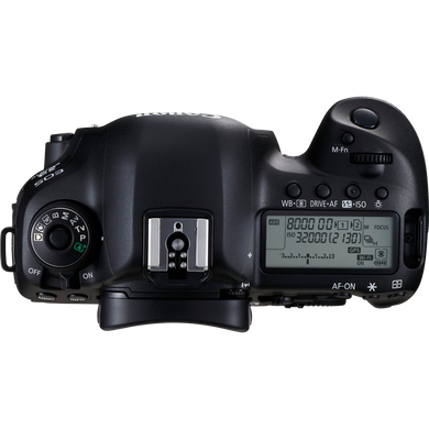 Canon 5D Mark IV + EF 24-70mm f/4L IS USM – image 3