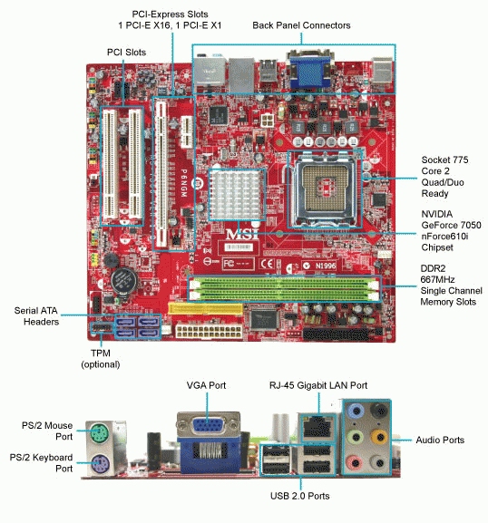 MSI P6NGM-L motherboard LGA 775 (Socket T) micro ATX – image 2