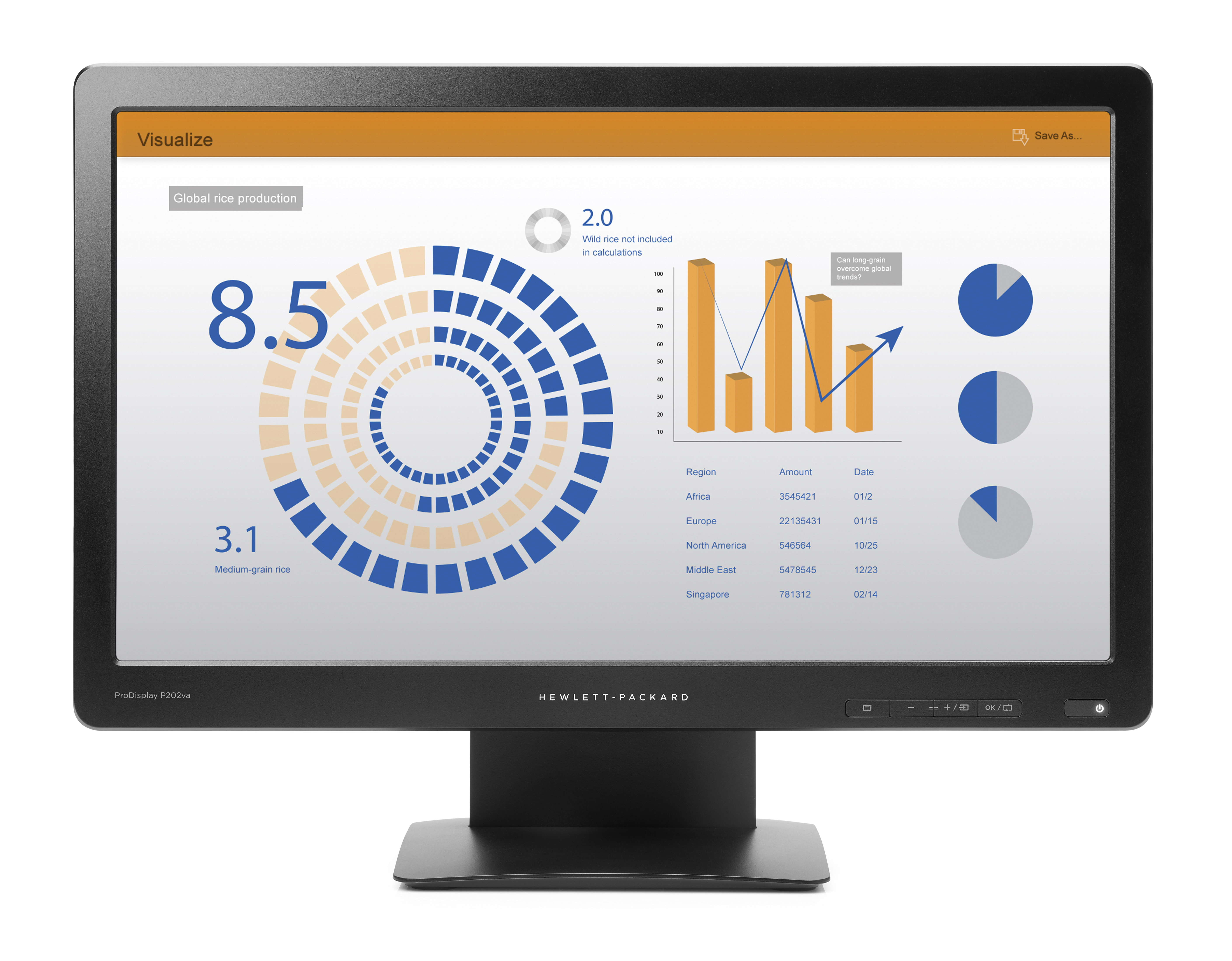 HP ProDisplay P202va 