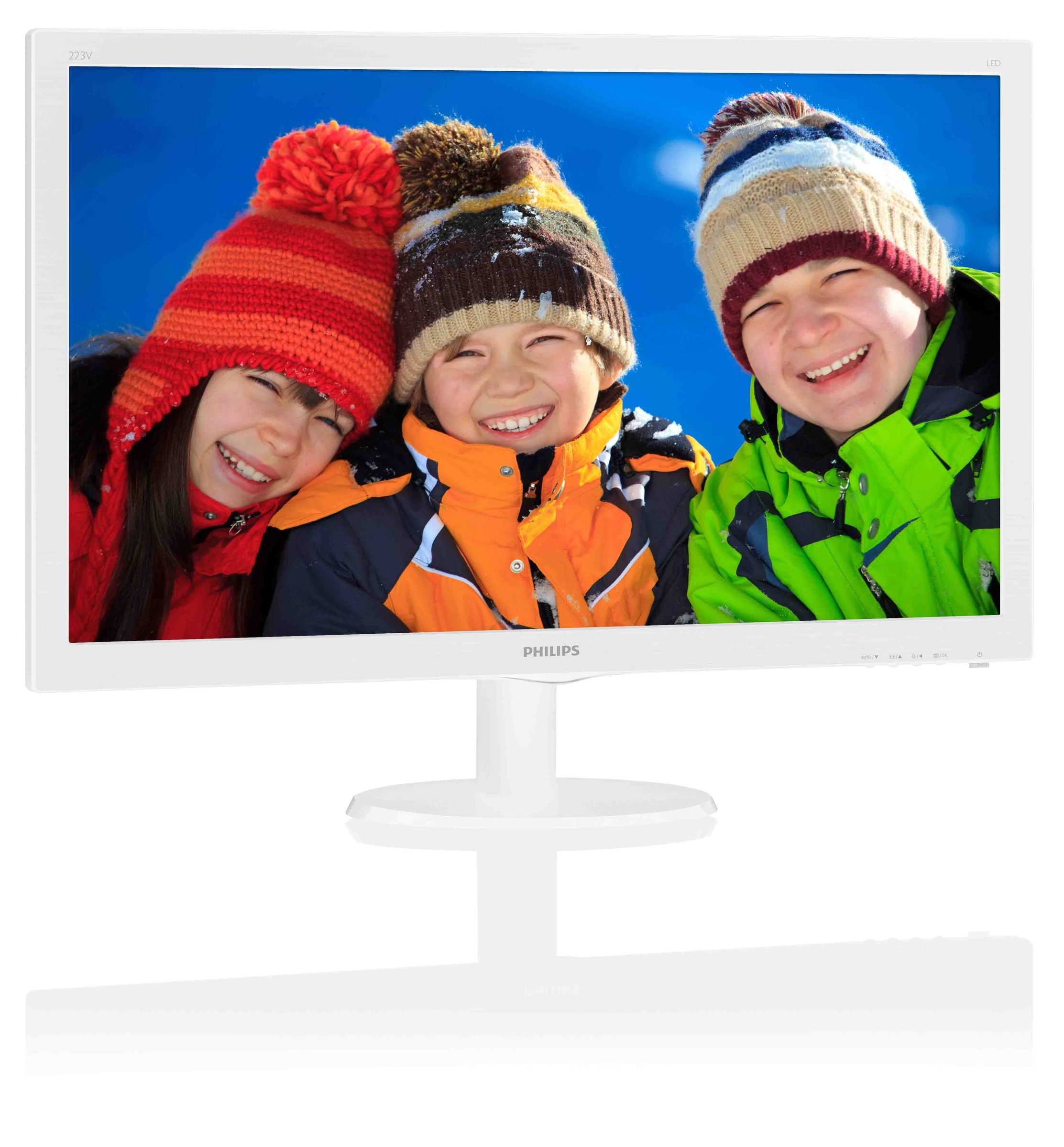 Philips 223V5LSW/93 