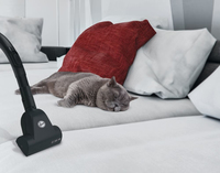 Hoover Telios Extra Lite TXL20PET011 3,5 L Aspirateur sans sac Sec 700 W Sac à poussière