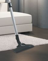 Hoover H-POWER 300 HP320PET 011 2 L Aspirateur réservoir cylindrique Sec 850 W Sans sac