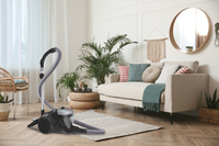 Hoover H-POWER 300 HP320PET 011 2 L Aspirateur réservoir cylindrique Sec 850 W Sans sac