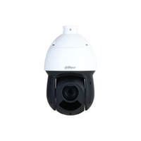 Dahua Technology WizSense DH-SD49225DB-HNY cámara de vigilancia Domo Cámara de seguridad IP Interior y exterior 1920 x 1080 Pixeles Techo
