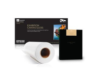 Epson S450361