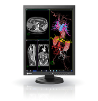 EIZO EIZO MX215 54,1 cm (21.3 Zoll) 1200 x 1600 Pixel LCD Schwarz https://images.icecat.biz/img/gallery_lows/20639291_2793407547.jpg