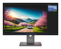 Lenovo ThinkVision P32UD-40