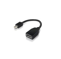 Lenovo 4X90L13971 DisplayPort-Kabel Mini DisplayPort Schwarz - 4X90L13971