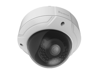 LevelOne FCS-3085 Sicherheitskamera Dome IP-Sicherheitskamera Innen & - FCS-3085