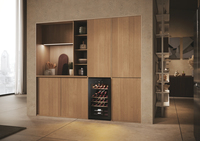 Haier Wine Bank 50 Serie 3 HWS34GGH1 Refroidisseur de vin compresseur Pose libre Noir 34 bouteille(s)