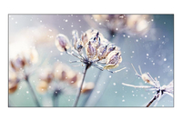 Samsung Samsung VM46R-U Digital Beschilderung Flachbildschirm 116,8 cm (46 Zoll) LED Full HD Schwarz Tizen 4.0 https://images.icecat.biz/img/gallery_lows/70100534_2404239179.jpg Samsung Samsung VM46R-U Digital Beschilderung Flachbildschirm 116,8 cm (46 Zoll) LED Full HD Schwarz Tizen 4.0 https://images.icecat.biz/img/gallery_lows/70100534_2404239179.jpg