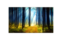 LG LG SIGNATURE 65WT980H Fernseher 165,1 cm (65 Zoll) 4K Ultra HD Smart-TV WLAN Schwarz https://images.icecat.biz/img/gallery_lows/77754515_5485398614.jpg LG LG SIGNATURE 65WT980H Fernseher 165,1 cm (65 Zoll) 4K Ultra HD Smart-TV WLAN Schwarz https://images.icecat.biz/img/gallery_lows/77754515_5485398614.jpg