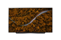LG LG OLED48CX6LA 121,9 cm (48 Zoll) 4K Ultra HD Smart-TV WLAN Schwarz https://images.icecat.biz/img/gallery_lows/78582474_8293390162.jpg